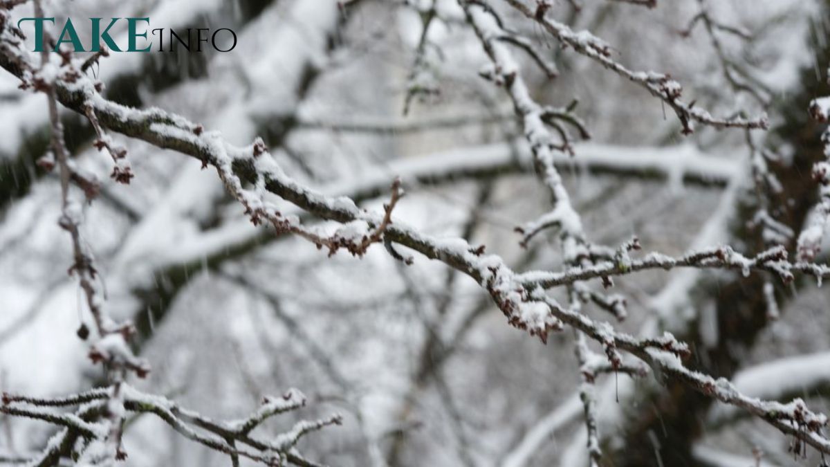 météo neige Normandie